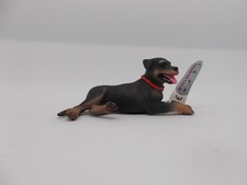 Hund hunde 65447 rottweiler - hunde,