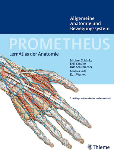 Prometheus allgemeine anatomie - prometheus,