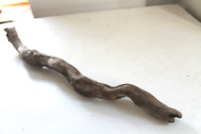Schwemmholz Treibholz  Skulptur  L 51 cm   Treibgut Schlange Reptil Dinosaurier