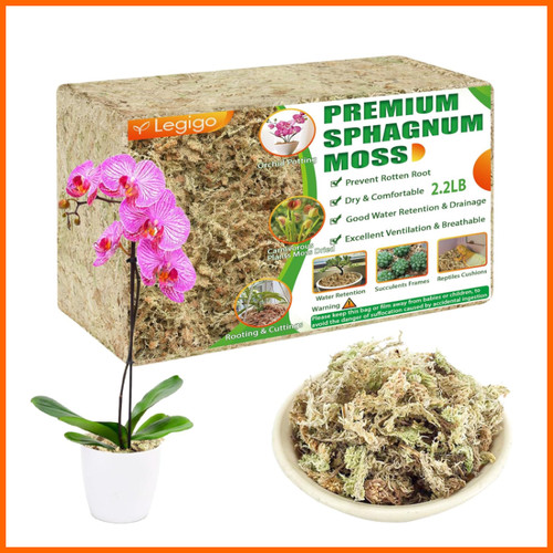 Sphagnum moos 1kg für - moos,