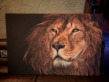 Leinwand Bild Löwe mit Rahmen Top Zustand Wandbilder XXL