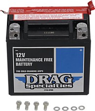 DS AGM Maintenance Free