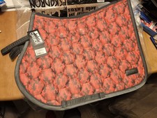 Eskadron Reflexx Vs Orange