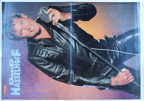 David hasselhoff popcorn - hasselhoff,