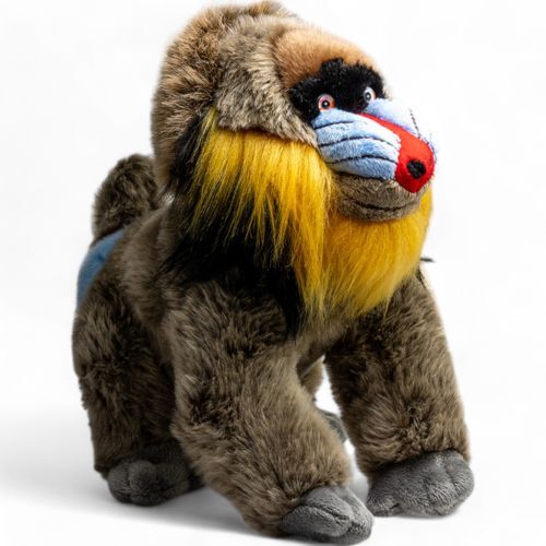 Mandrill affe cm höhe - mandrill,