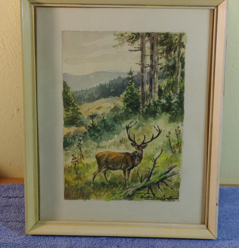 Aquarell eines rothirsches - eines, in