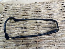 Araber-Miniatur Pferd im