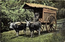 PC CPA A Transport Cart with