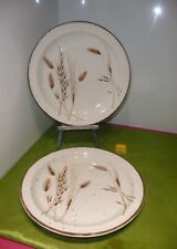 Midwinter Stonehenge   WILD OATS  wilder Hafer 2 Speiseteller  Ø ca. 26 cm