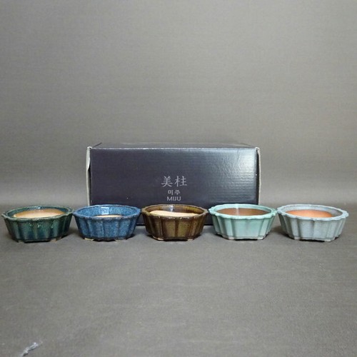 Miju mini bonsai topf set - topf,