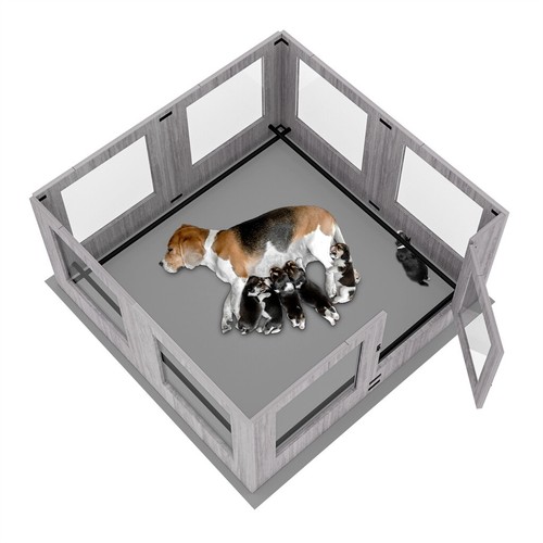 Wurfkiste wurfbox welpenbox - wurfkiste,