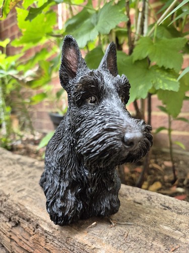Scottie hund garten - scottie,