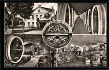 Mayschoss / Ahr, Winzer