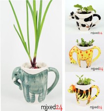 Blumenvase  Blumentopf