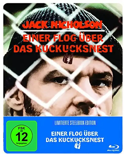 Einer flog über das