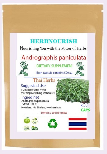 Andrographis paniculata