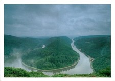 Cloef, Saarschleife, Horst