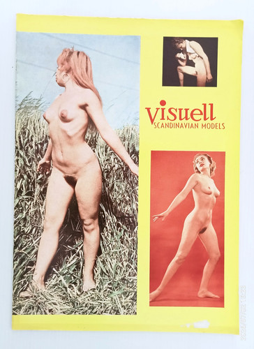 Visuell scandinavian models - models, um