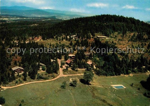 Duerrwies dettensche - duerrwies,