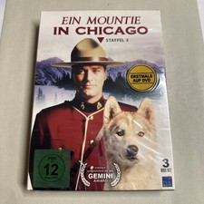 Ein Mountie in Chicago -