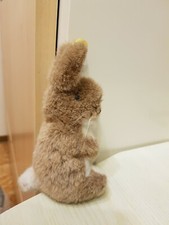 Steiff "Manni" Hase mit Knopf