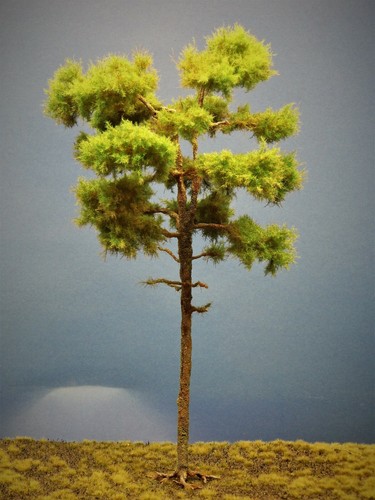 Diorama modell nadelbäume - modell, nadelbäume,