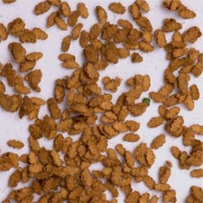 Eichenblätter braun 10g