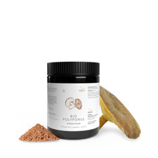 Pilze Wohlrab | Bio Polyporus