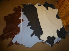 Lederhaut Konvolut div. Farben