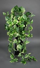 Photosranke 90cm grün-gelb PM