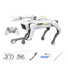 Intelligenter RC Roboterhund