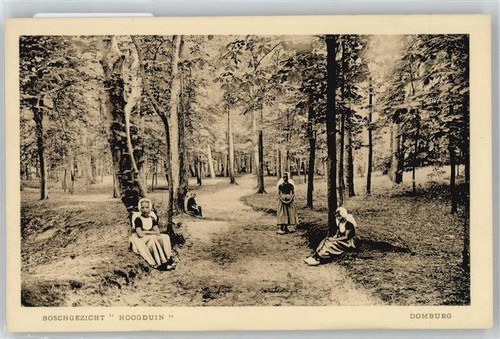 50499698 domburg - -,