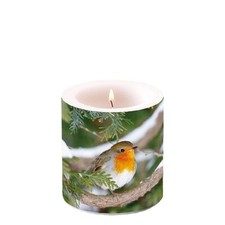 Dekor-Kerze "Robin in Tree"