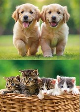 TischSet 3 D Hunde Katzen