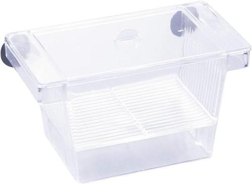 Aquarium zuchtbox fisch - zuchtbox,