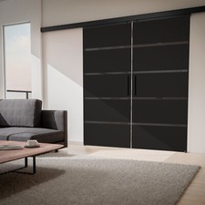 Doppelschiebetür Grau