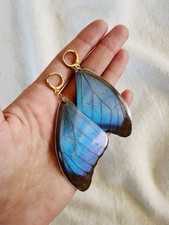 Schmetterling Ohrringe echt – Blue Morpho Flügel | Handgemacht | 18k vergoldet