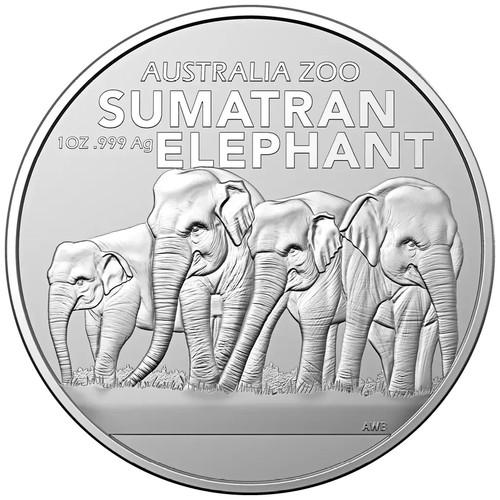 Silbermünze sumatra elefant - silbermünze,