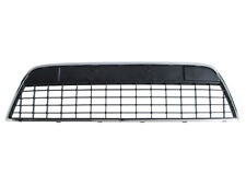 GRILL GITTER IN STOßSTANGE