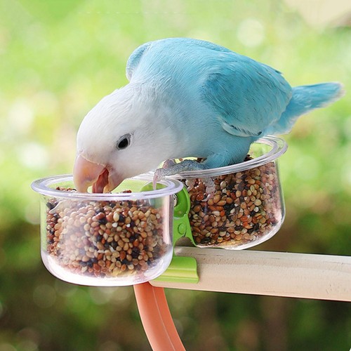 Vogelfutterbecher mit