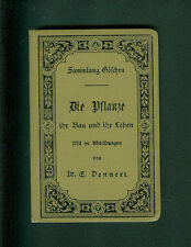 Die Pflanze ihr Bau und ihr Leben Dr. E. Dennert Zeichnungen des Verfassers 1897