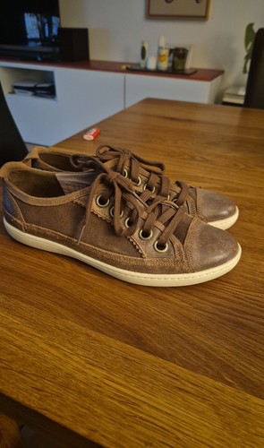 Timberland ortholite sneaker - timberland,