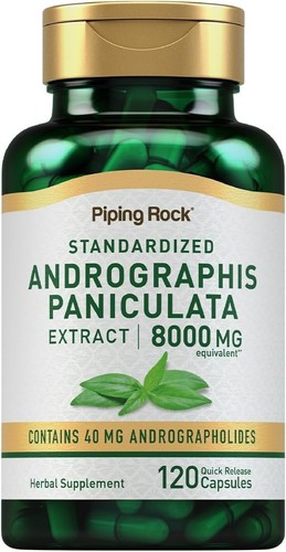 Piping rock andrographis - piping,