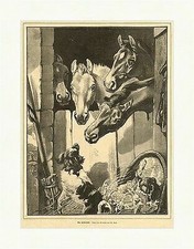 Am Fohlenstall Pferde Hunde Tiere Koch Türe Besen Strohkorb Holzstich E 4041