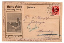 Bayern FIRMENWERBEKARTE HANS HÖPFL TAUBENZUCHT (T7713