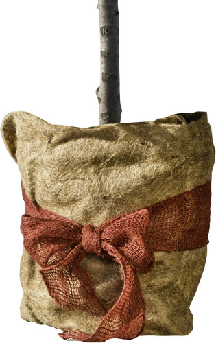 Jute winterschutz vliesmatte - jute,