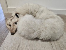 Vintage Fuchspelz Blaufuchs / Pelzkragen mit Kopf ~120 cm echtes Fell – Sammler