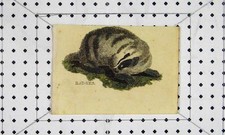 Original alter antiker Druck