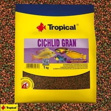 Tropical cichlid gran 1kg - cichlid,