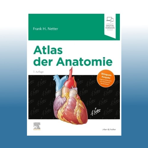 Atlas der anatomie frank h - der,